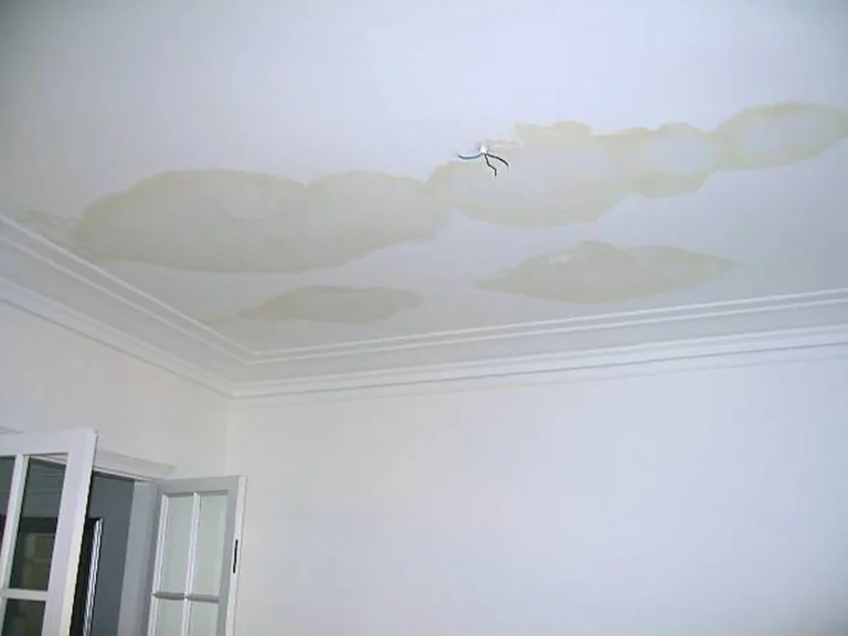 Signs of flat roof damage