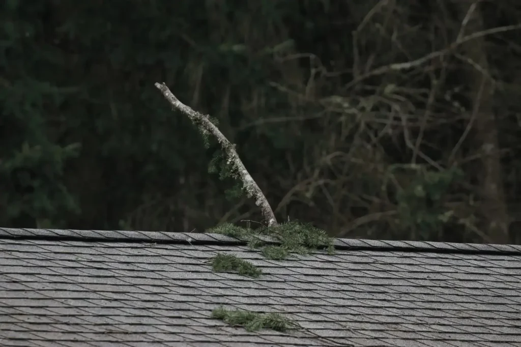 Collapsed roof due to fallen tree branch during storm