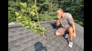 How to Repair a Hole in Your Roof: Expert Guide for 2025