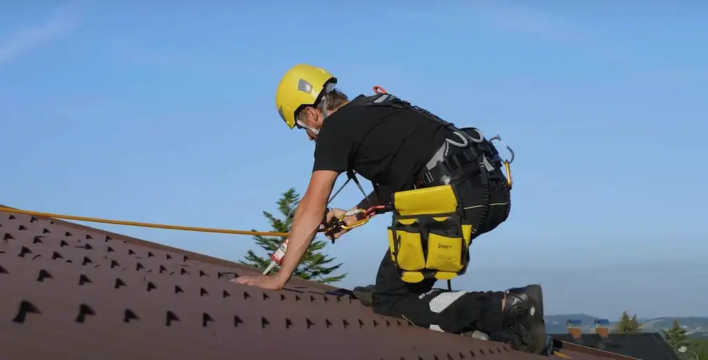 Professional solar panel cleaning service