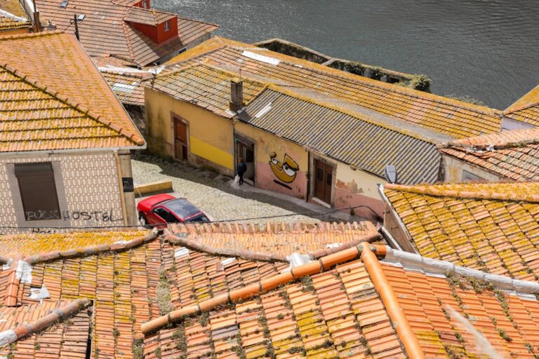 Emergency roof leak repair temporary fix - professional roof repair guide