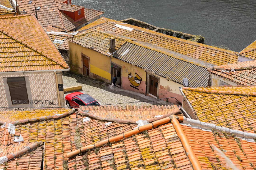 Emergency roof leak repair temporary fix - professional roof repair guide